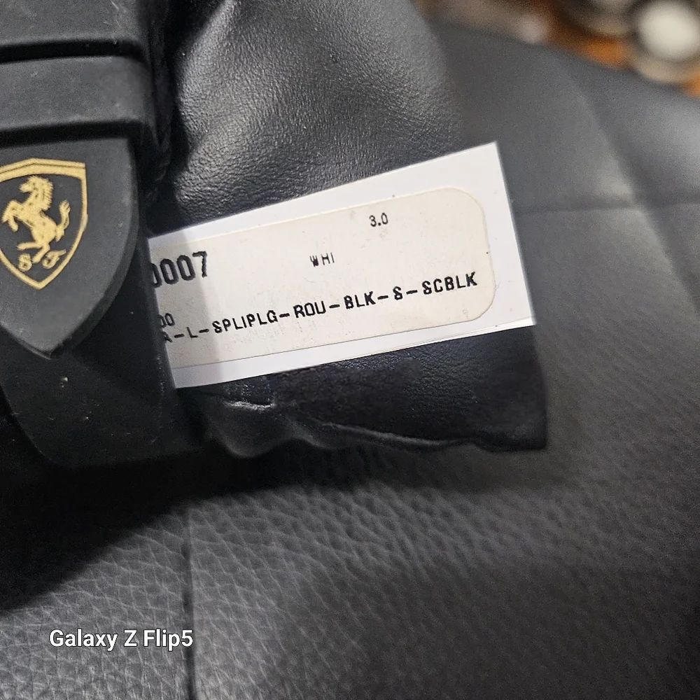 Ferrari full inclusion